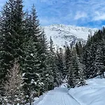 Гостевой дом Alpenheim Simone 3*