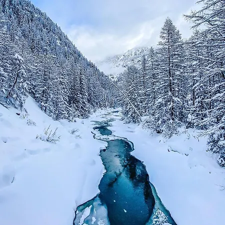 Alpenheim Simone Penzion