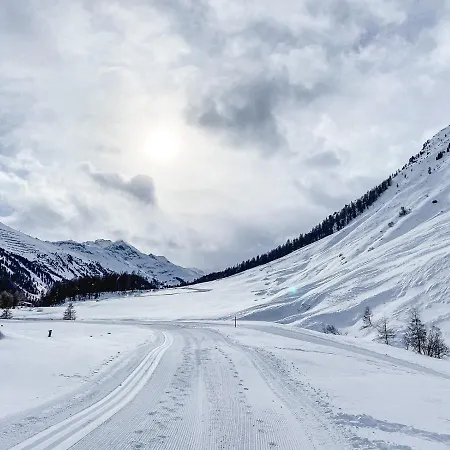 Alpenheim Simone بيت ضيافة *