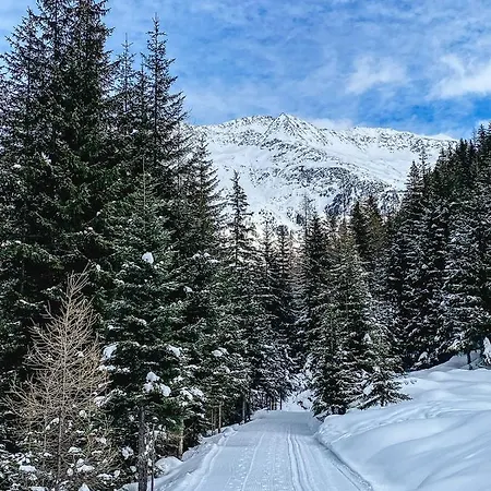 Penzion Alpenheim Simone 3*